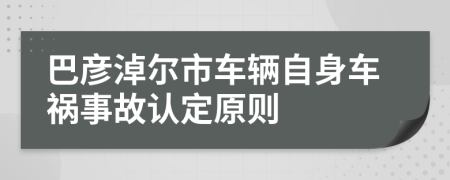 巴彦淖尔市车辆自身车祸事故认定原则