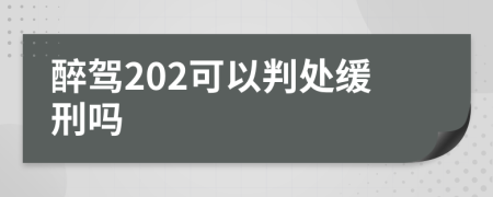 醉驾202可以判处缓刑吗