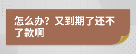 怎么办？又到期了还不了款啊