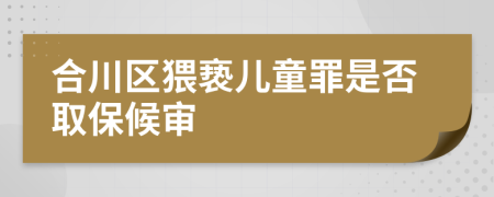 合川区猥亵儿童罪是否取保候审