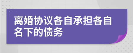 离婚协议各自承担各自名下的债务