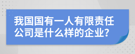 我国国有一人有限责任公司是什么样的企业？
