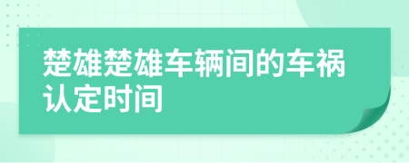 楚雄楚雄车辆间的车祸认定时间