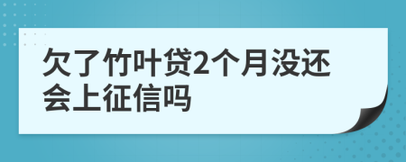 欠了竹叶贷2个月没还会上征信吗