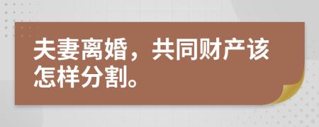 夫妻离婚，共同财产该怎样分割。