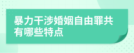 暴力干涉婚姻自由罪共有哪些特点