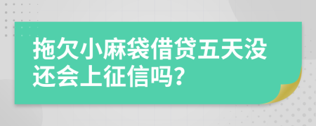 拖欠小麻袋借贷五天没还会上征信吗？