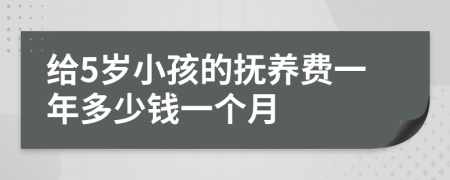 给5岁小孩的抚养费一年多少钱一个月