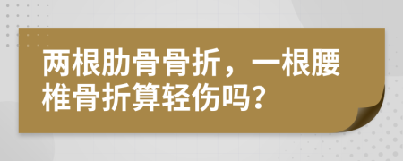 两根肋骨骨折，一根腰椎骨折算轻伤吗？