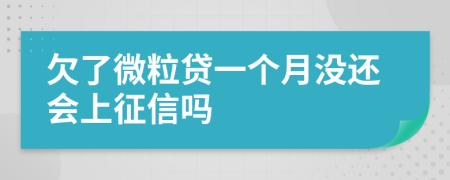 欠了微粒贷一个月没还会上征信吗