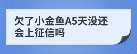 欠了小金鱼A5天没还会上征信吗