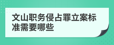 文山职务侵占罪立案标准需要哪些