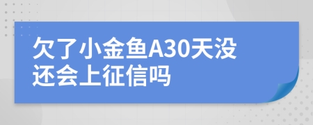 欠了小金鱼A30天没还会上征信吗