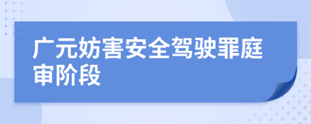 广元妨害安全驾驶罪庭审阶段