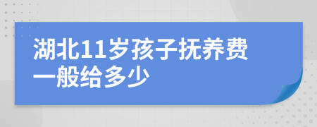 湖北11岁孩子抚养费一般给多少