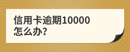 信用卡逾期10000怎么办？