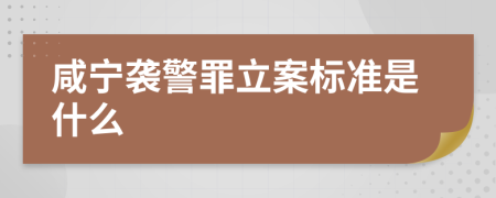 咸宁袭警罪立案标准是什么