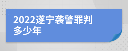 2022遂宁袭警罪判多少年