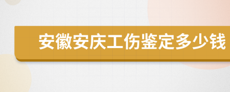 安徽安庆工伤鉴定多少钱