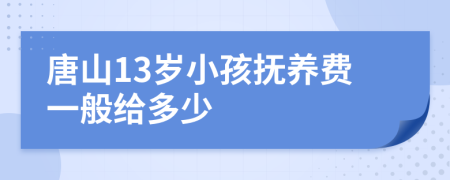 唐山13岁小孩抚养费一般给多少