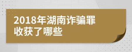 2018年湖南诈骗罪收获了哪些