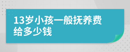 13岁小孩一般抚养费给多少钱