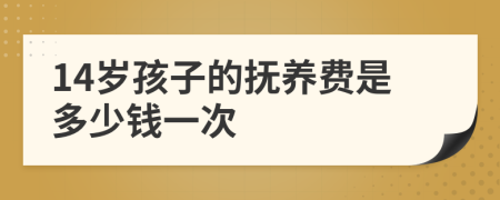 14岁孩子的抚养费是多少钱一次