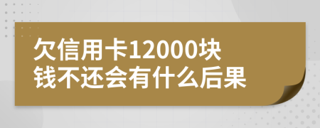 欠信用卡12000块钱不还会有什么后果