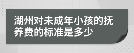 湖州对未成年小孩的抚养费的标准是多少