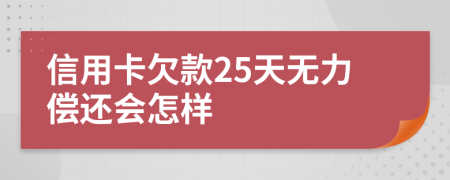 信用卡欠款25天无力偿还会怎样