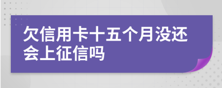 欠信用卡十五个月没还会上征信吗