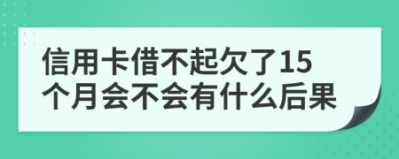 信用卡借不起欠了15个月会不会有什么后果