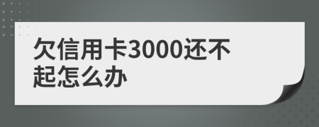 欠信用卡3000还不起怎么办