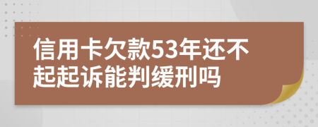 信用卡欠款53年还不起起诉能判缓刑吗