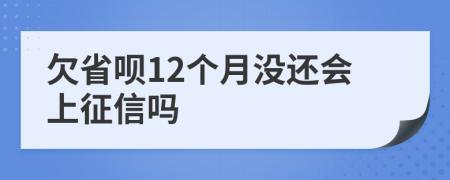 欠省呗12个月没还会上征信吗