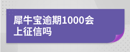 犀牛宝逾期1000会上征信吗