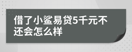 借了小鲨易贷5千元不还会怎么样