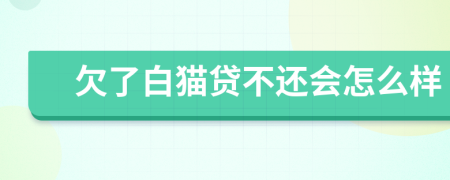 欠了白猫贷不还会怎么样