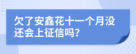 欠了安鑫花十一个月没还会上征信吗？