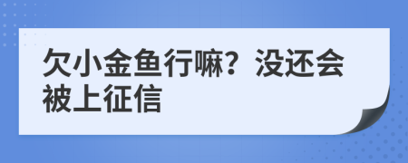 欠小金鱼行嘛？没还会被上征信