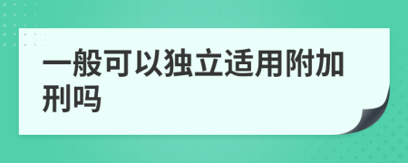 一般可以独立适用附加刑吗