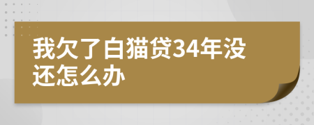 我欠了白猫贷34年没还怎么办