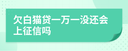 欠白猫贷一万一没还会上征信吗