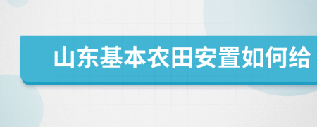 山东基本农田安置如何给