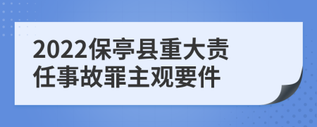 2022保亭县重大责任事故罪主观要件