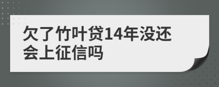 欠了竹叶贷14年没还会上征信吗