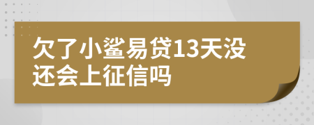 欠了小鲨易贷13天没还会上征信吗