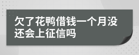 欠了花鸭借钱一个月没还会上征信吗