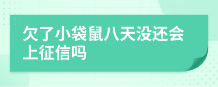 欠了小袋鼠八天没还会上征信吗