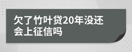 欠了竹叶贷20年没还会上征信吗